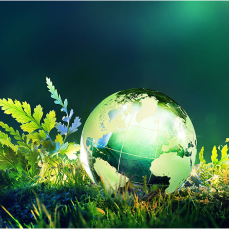LAUDATO SI