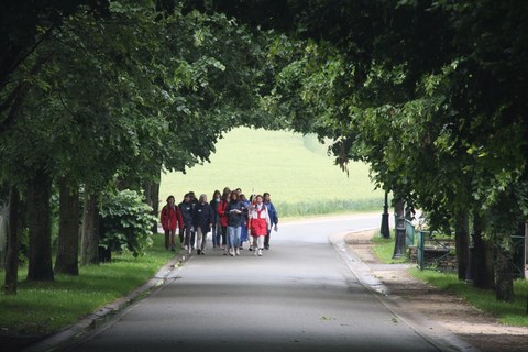 crbst-img-8024