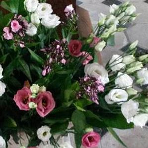 fleurs
